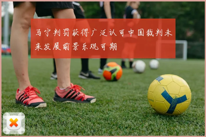 马宁判罚获得广泛认可中国裁判未来发展前景乐观可期